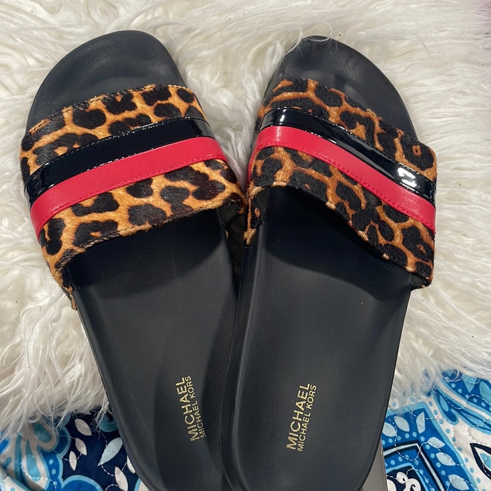 Cheetah slides